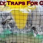 Best Fly Traps For Outside