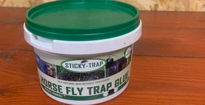 How to Remove Fly Trap Glue from Wall