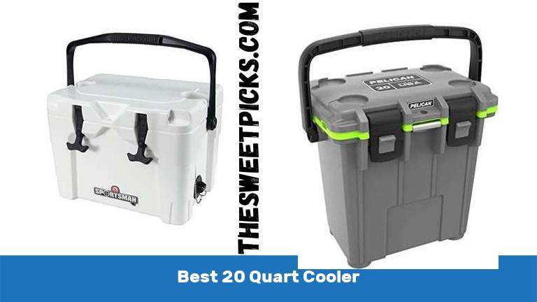 Best 20 Quart Cooler