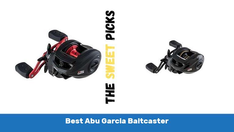 Best Abu Garcia Baitcaster