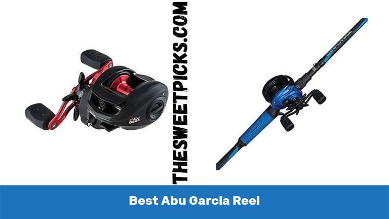 Best Abu Garcia Reel