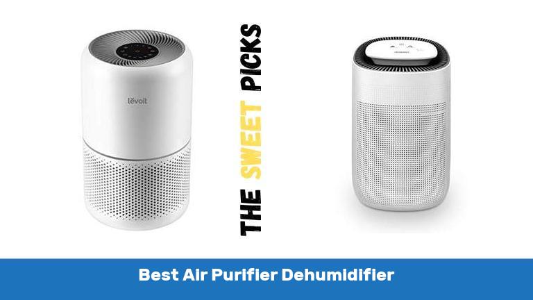Best Air Purifier Dehumidifier