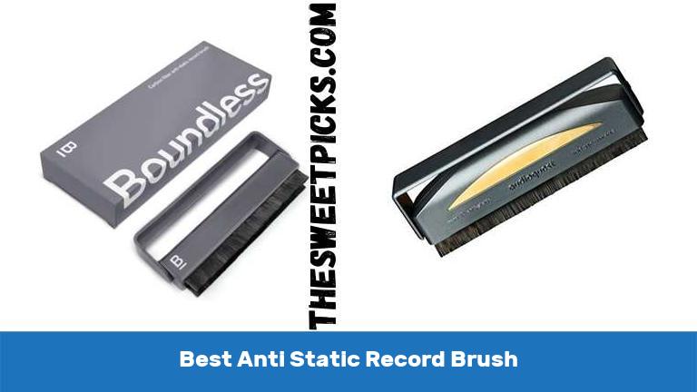 Best Anti Static Record Brush