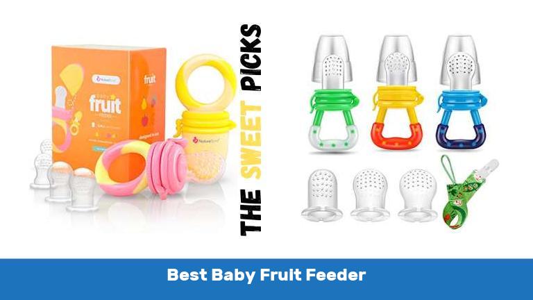 Best Baby Fruit Feeder