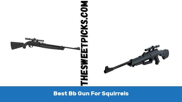 Best Bb Gun For Squirrels