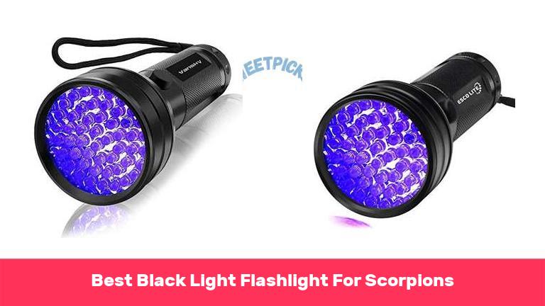 Best Black Light Flashlight For Scorpions