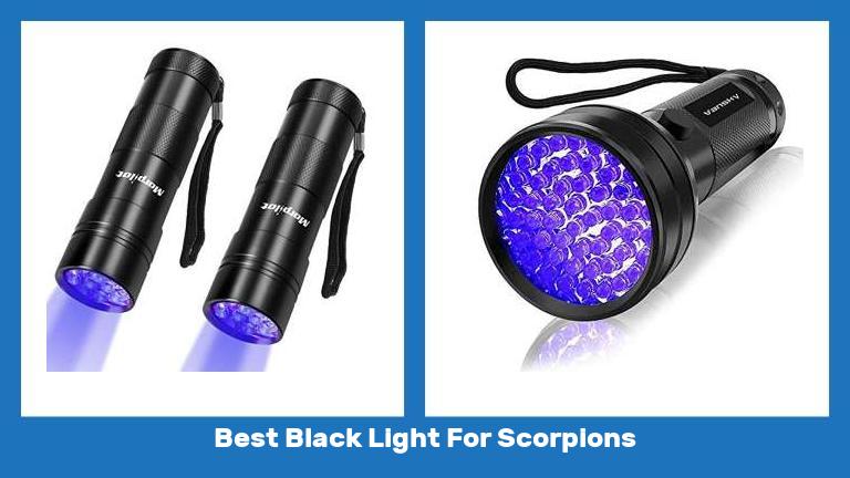 Best Black Light For Scorpions