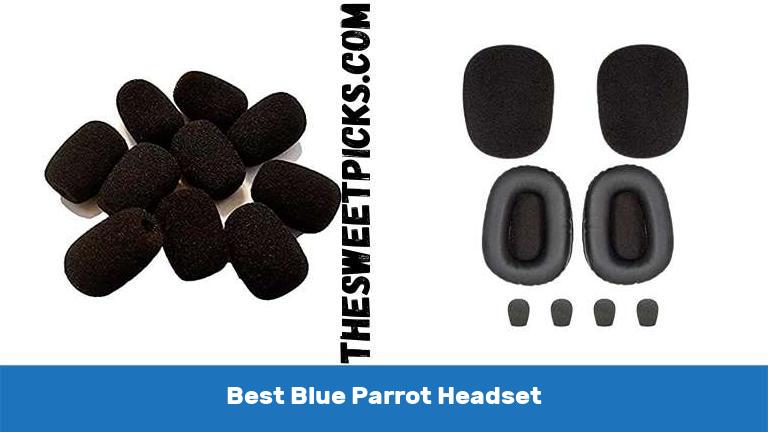 Best Blue Parrot Headset