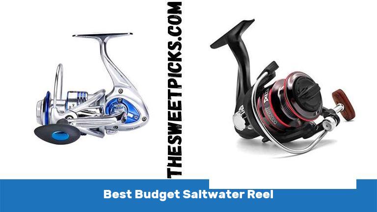 Best Budget Saltwater Reel