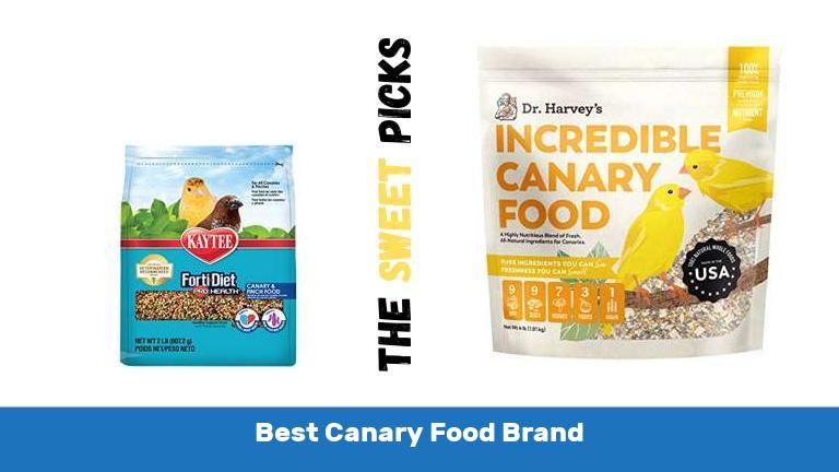 Best Canary Food Brand