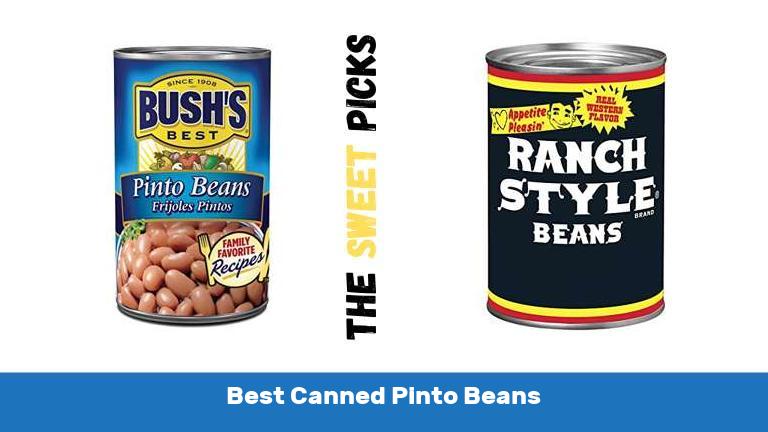 Best Canned Pinto Beans