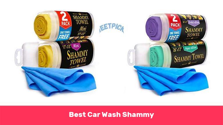 Best Car Wash Shammy