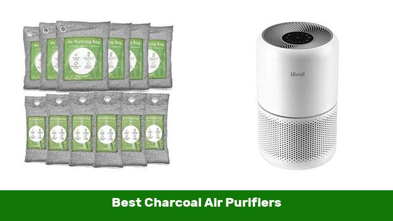 Best Charcoal Air Purifiers