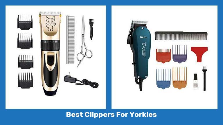 Best Clippers For Yorkies