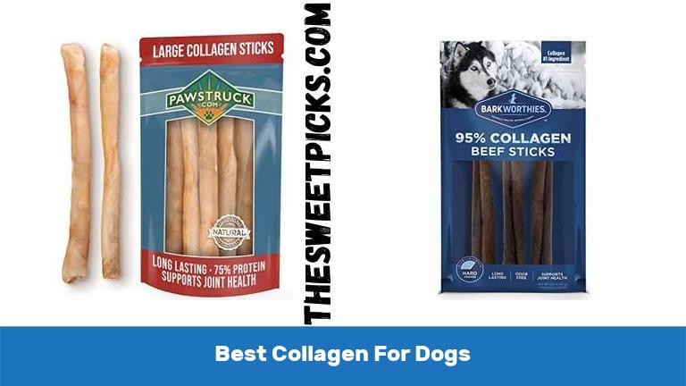 Best Collagen For Dogs