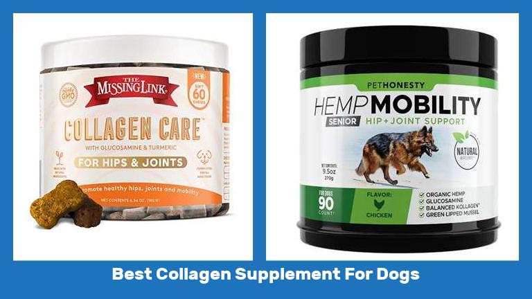Best Collagen Supplement For Dogs