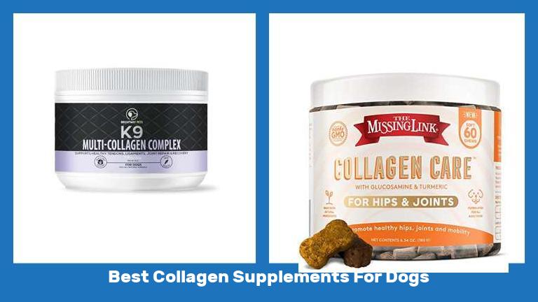 Best Collagen Supplements For Dogs