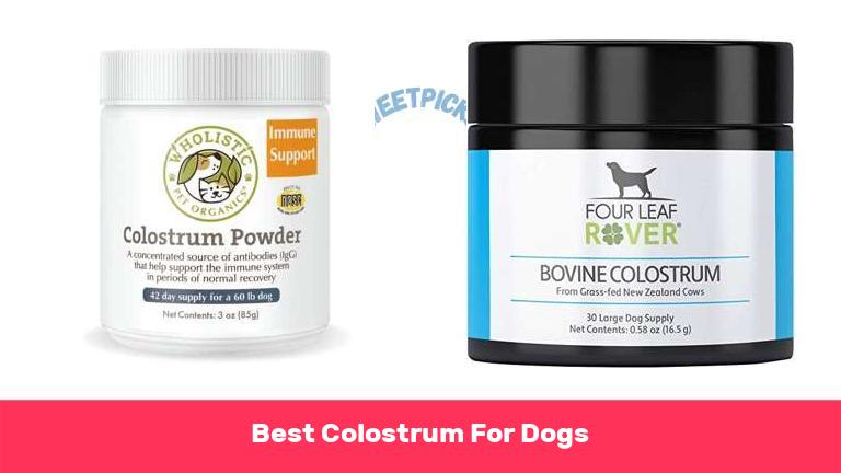 Best Colostrum For Dogs