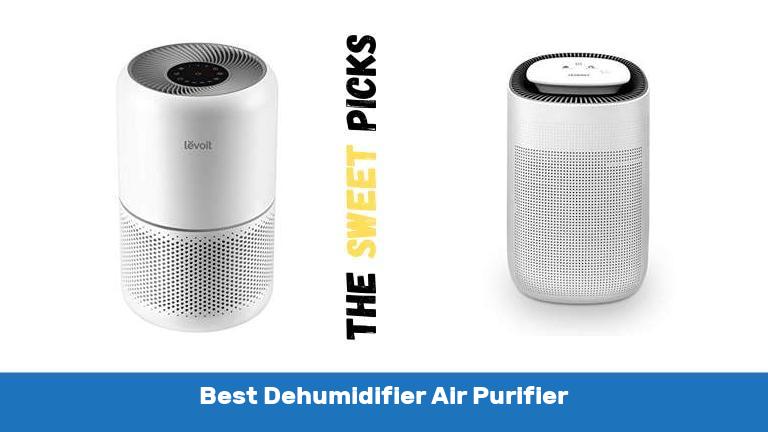 Best Dehumidifier Air Purifier
