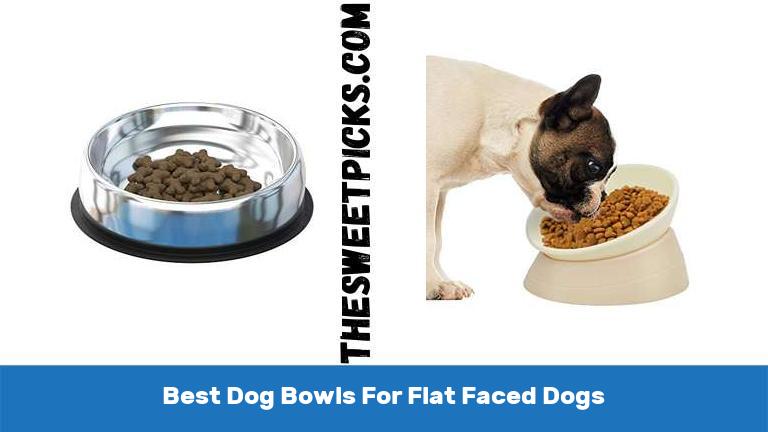 Best Dog Bowls For Flat Faced Dogs