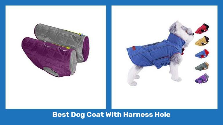 Best Dog Coat With Harness Hole