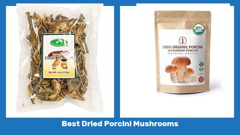 Best Dried Porcini Mushrooms