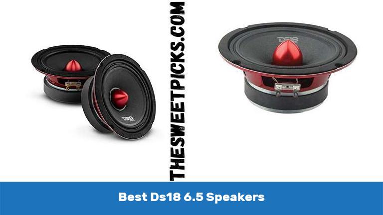 Best Ds18 6 5 Speakers