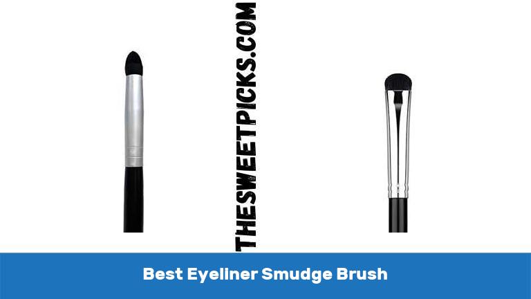 Best Eyeliner Smudge Brush