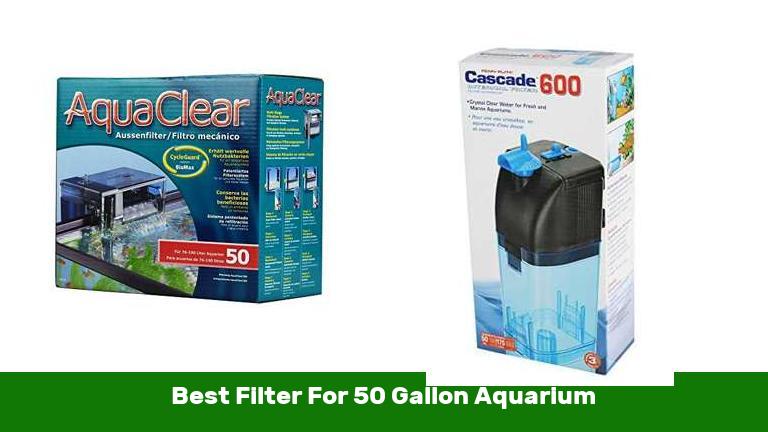 Best Filter For 50 Gallon Aquarium