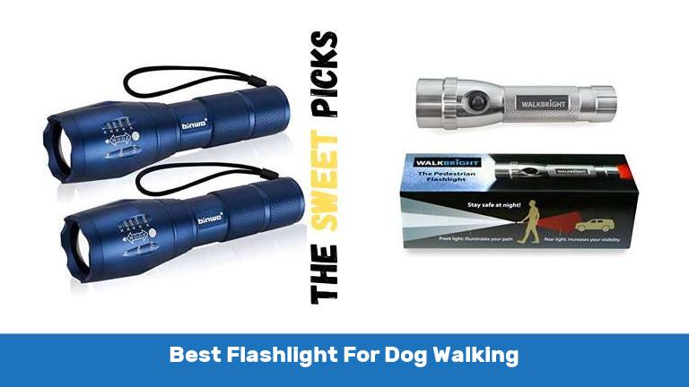 Best Flashlight For Dog Walking