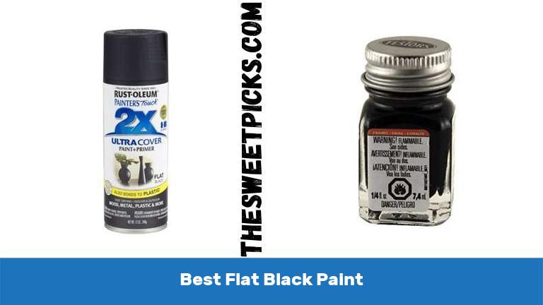 Best Flat Black Paint