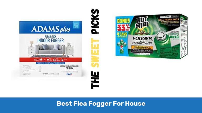 Best Flea Fogger For House