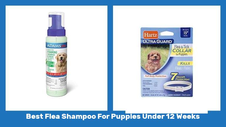 Best Flea Shampoo For Puppies Under 12 Weeks