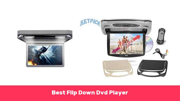 Best Flip Down Dvd Player