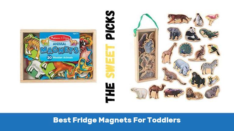 Best Fridge Magnets For Toddlers