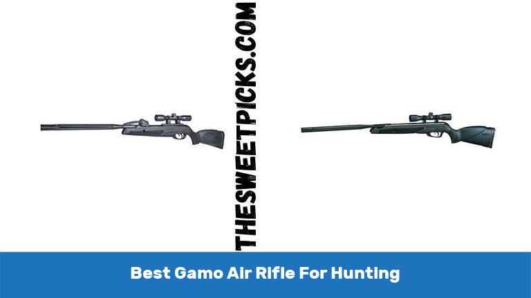 Best Gamo Air Rifle For Hunting