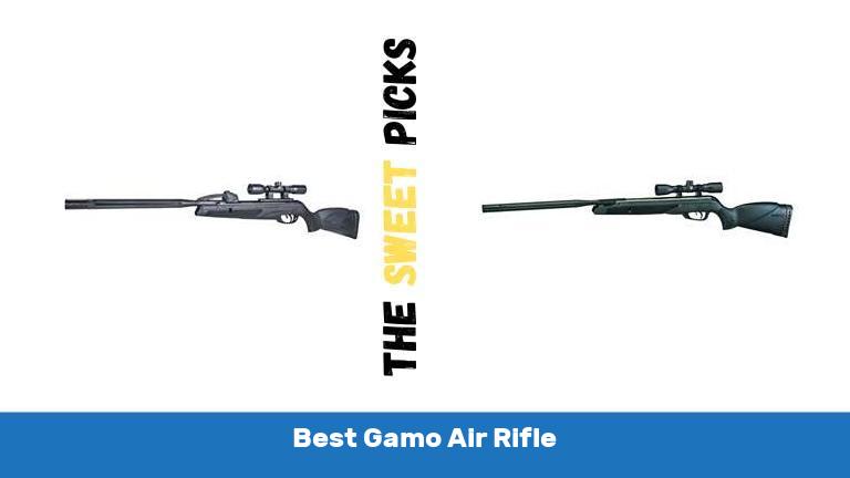 Best Gamo Air Rifle