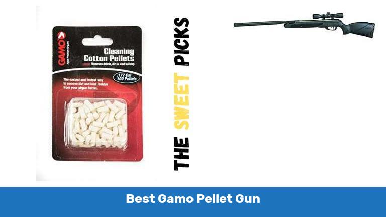 Best Gamo Pellet Gun