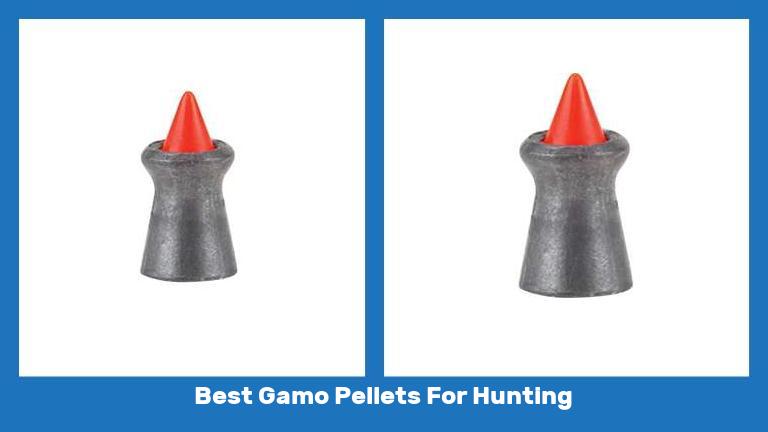 Best Gamo Pellets For Hunting