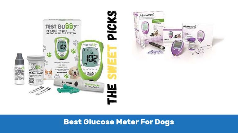Best Glucose Meter For Dogs