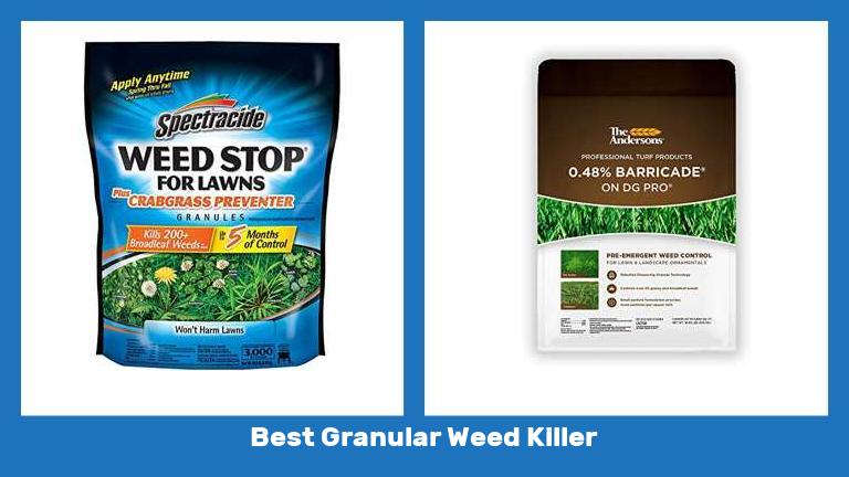 Best Granular Weed Killer