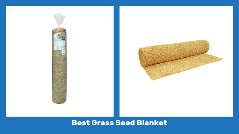Best Grass Seed Blanket