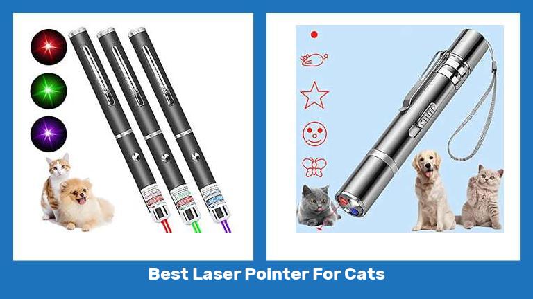 Best Laser Pointer For Cats