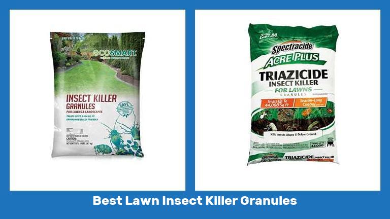 Best Lawn Insect Killer Granules