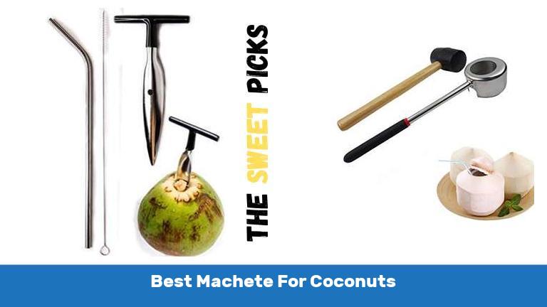 Best Machete For Coconuts