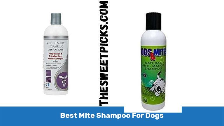 Best Mite Shampoo For Dogs