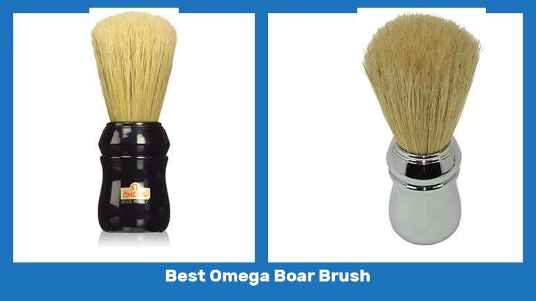 Best Omega Boar Brush