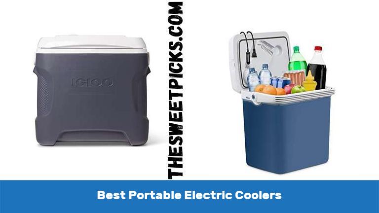 Best Portable Electric Coolers