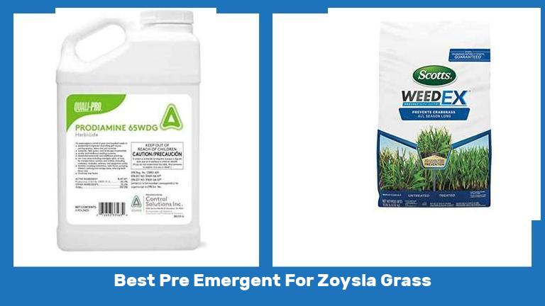 Best Pre Emergent For Zoysia Grass