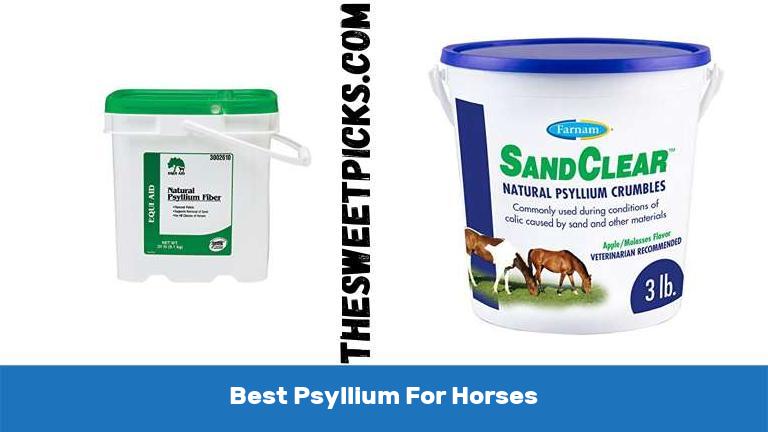 Best Psyllium For Horses